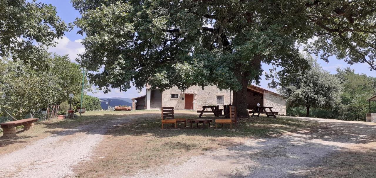 Casale Al Lago Con Piscina E Sauna Corbara  ภายนอก รูปภาพ