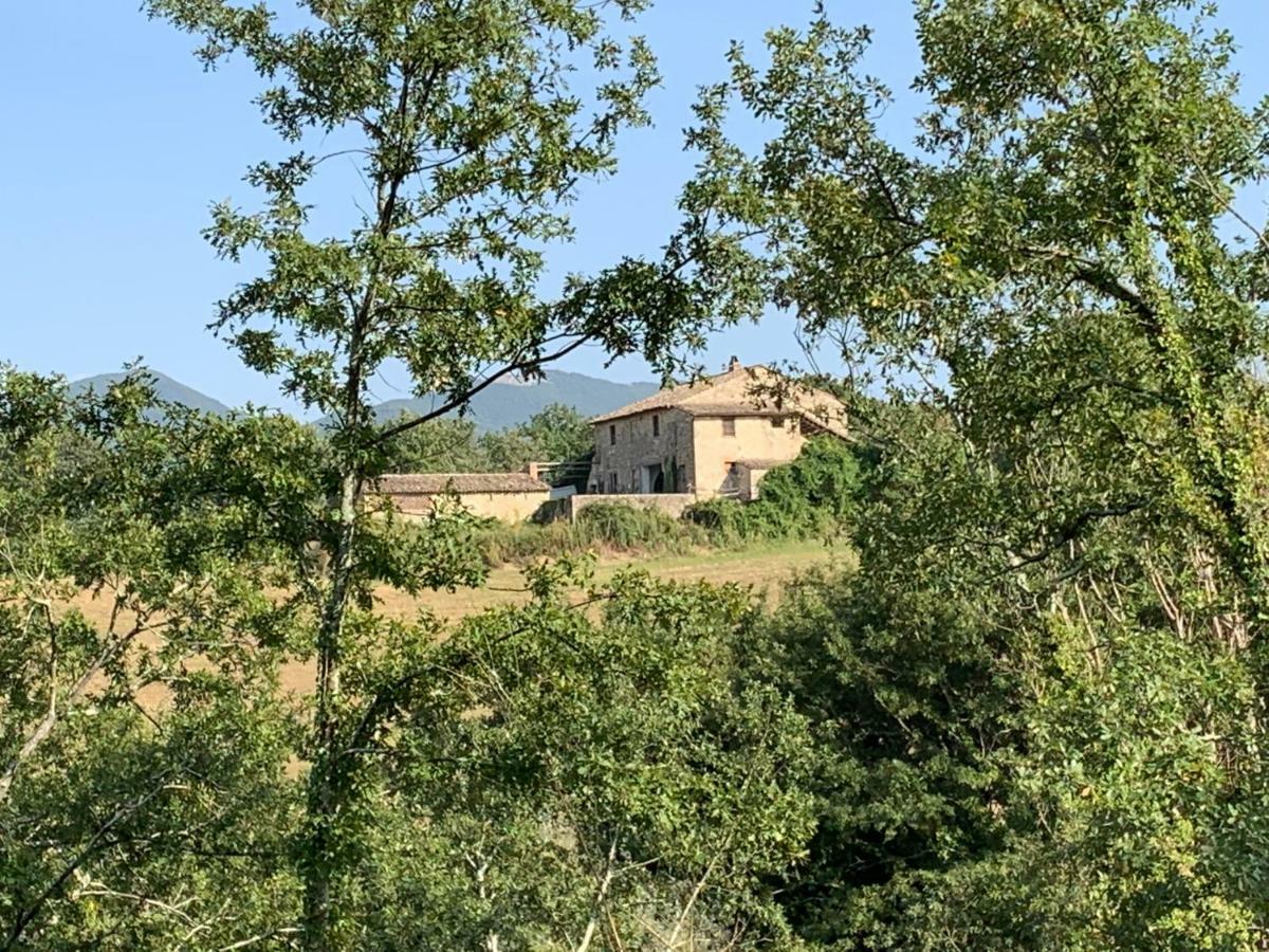 Casale Al Lago Con Piscina E Sauna Corbara  ภายนอก รูปภาพ