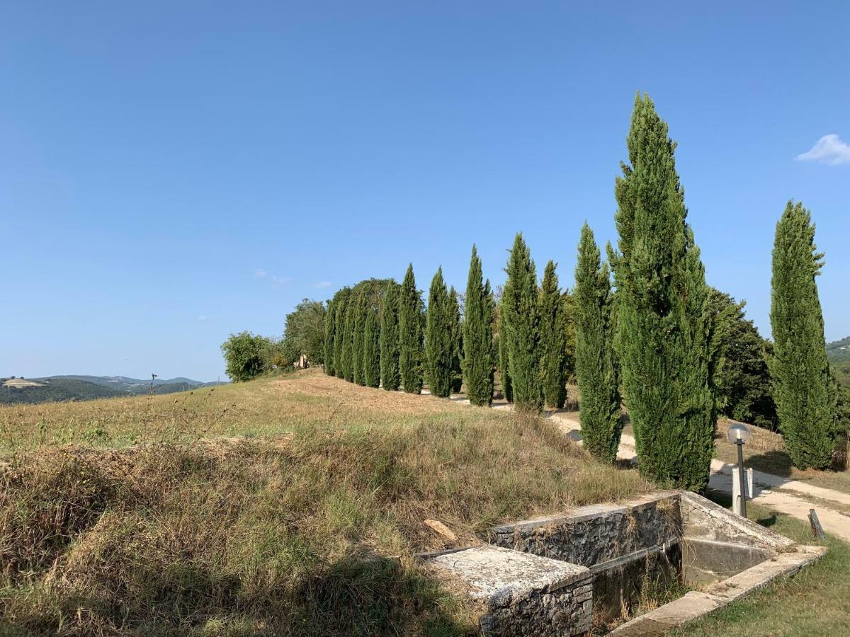 Casale Al Lago Con Piscina E Sauna Corbara  ภายนอก รูปภาพ