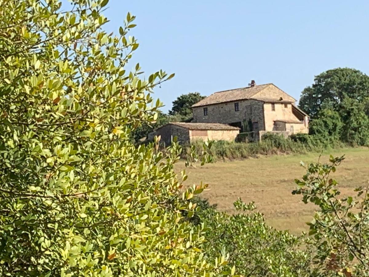 Casale Al Lago Con Piscina E Sauna Corbara  ภายนอก รูปภาพ