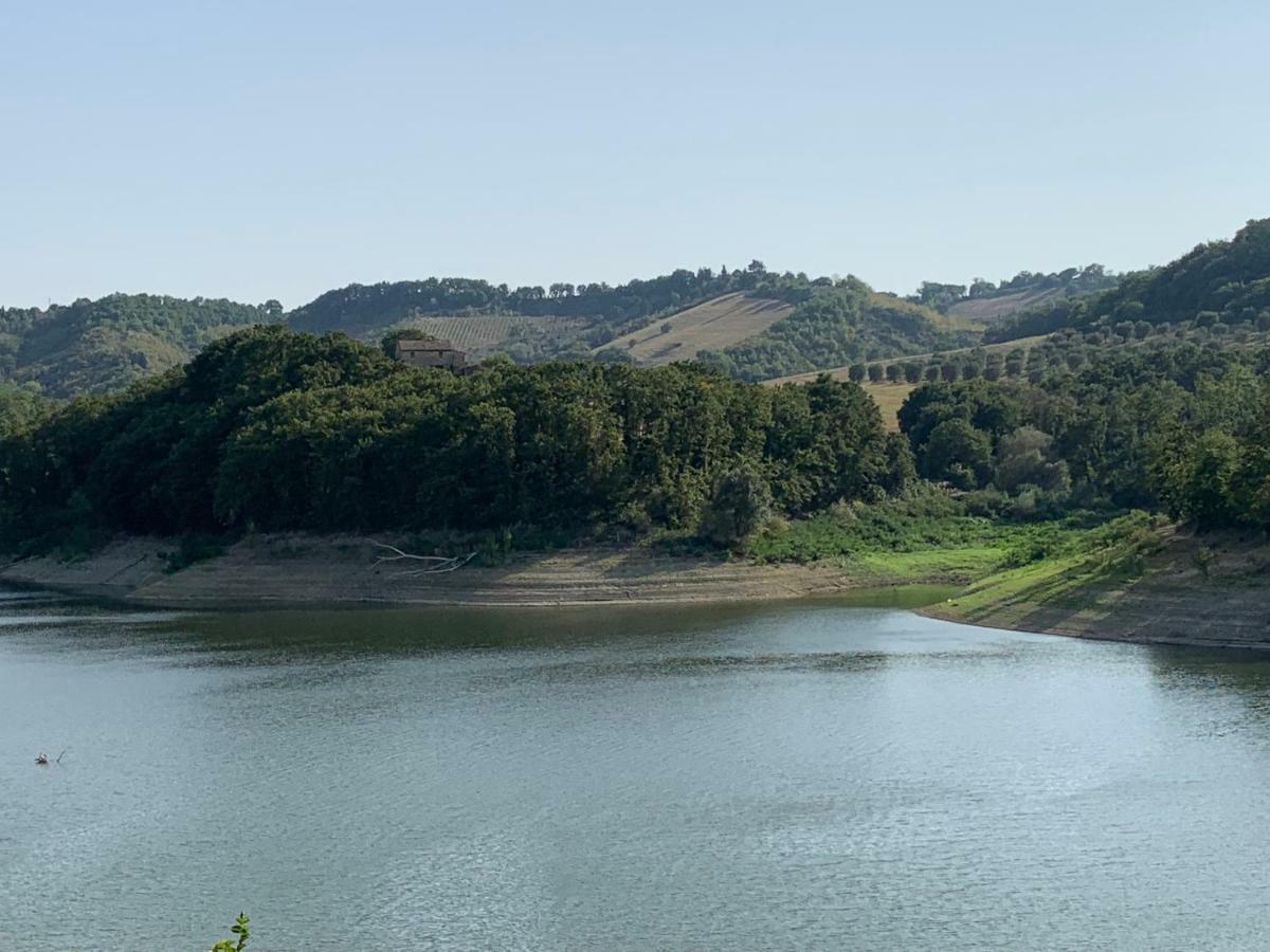 Casale Al Lago Con Piscina E Sauna Corbara  ภายนอก รูปภาพ