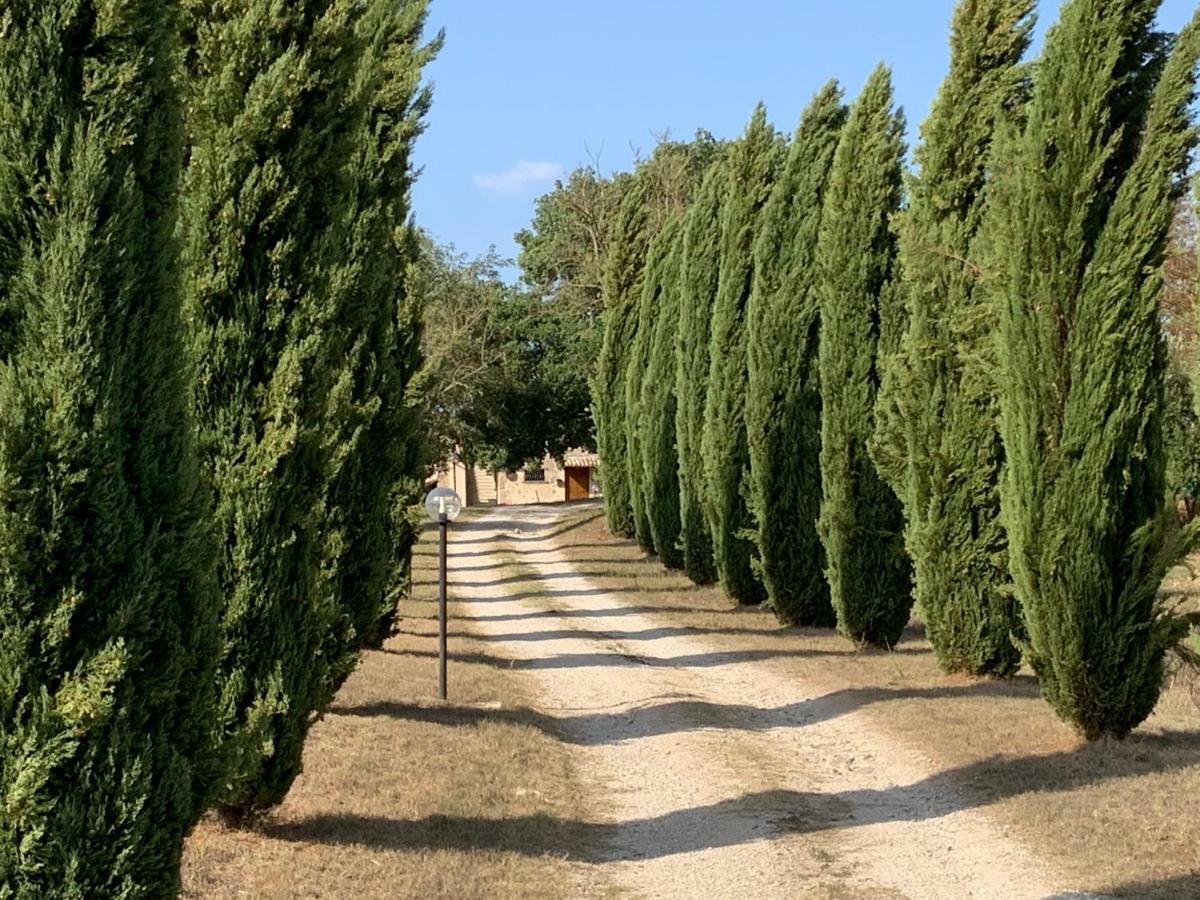 Casale Al Lago Con Piscina E Sauna Corbara  ภายนอก รูปภาพ